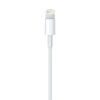 Lightning to USB Cable (0.5 m)