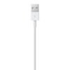 Lightning to USB Cable (0.5 m)