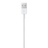 Apple Lightning to USB Cable (1m)