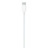 Apple USB-C to Lightning Cable (2 m)